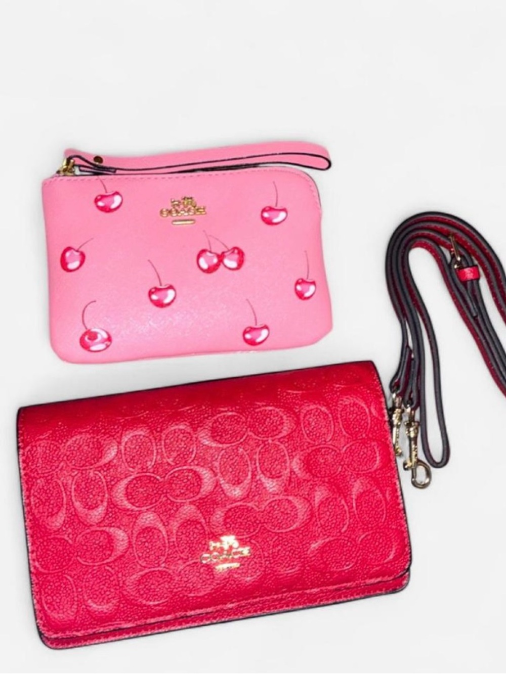 Fake Coach Purse. From what I’m told